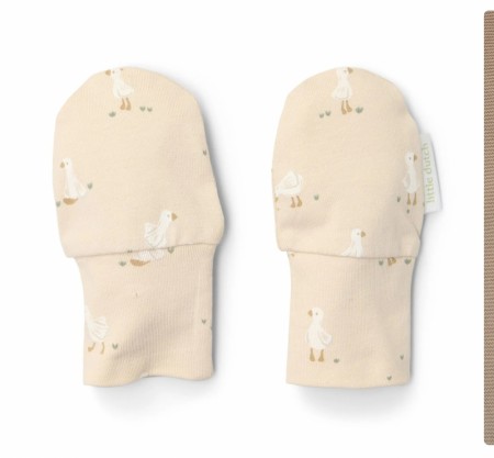 Klorevotter, goose, Little Dutch